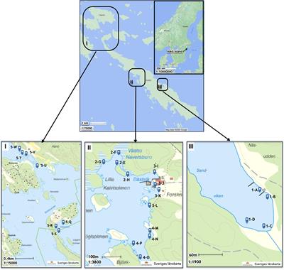 Sea-Air Exchange of Methane in Shallow Inshore Areas of the Baltic Sea